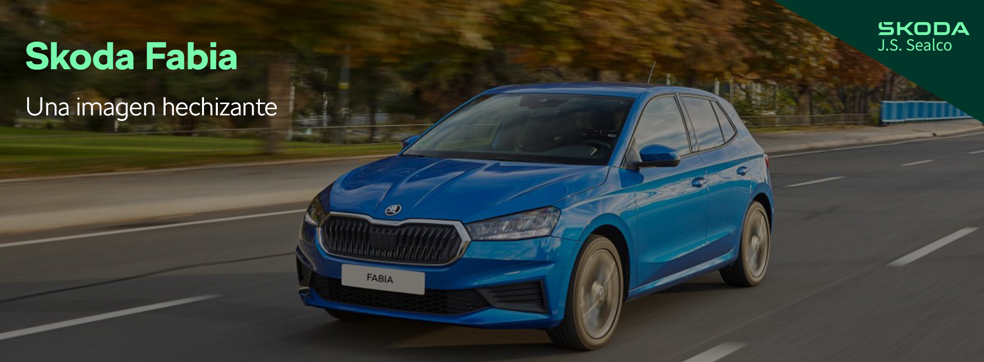 SKODA FABIA BANNER